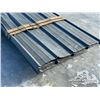 Image 7 : (36) 8 FT. STEEL SHEETS