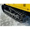 Image 15 : SDLD25 SDLANCH CRAWLER DUMPER