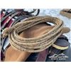 Image 5 : HORSE TACK & SUPPLIES