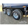 Image 56 : 2007 WESTERN STAR 4900SA TRI/A SLEEPER DUMP TRUCK