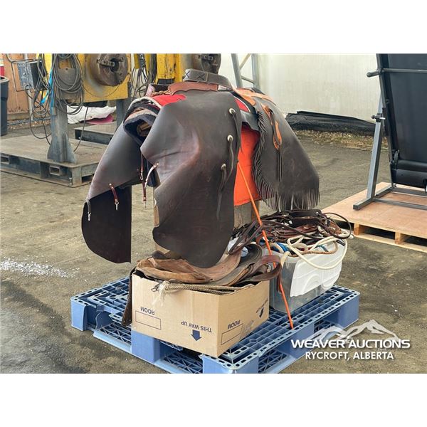 HORSE TACK W/SADDLE STAND & CHAPS