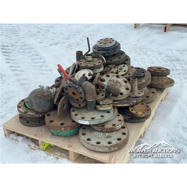 QTY OF BLIND PIPE FLANGES