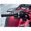 Image 9 : 2013 HONDA RUBICON 4WD ATV