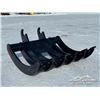 Image 2 : SAI 66 IN. EXCAVATOR 250 SERIES BRUSH RAKE