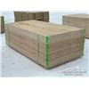 Image 3 : (40) 3/4 IN. 4 X 8 FT. CSP UTILITY GRADE PLYWOOD