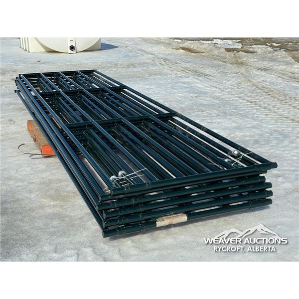 (6) 16 FT. LIVESTOCK GATES