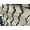Image 12 : (4) BEAVER 12-16.5 SKID STEER TIRES