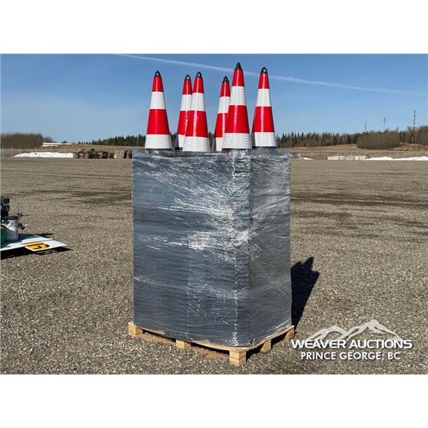 (250) SAFETY CONES