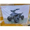 Image 1 : 1000W KIDS RECREATIONAL ATV