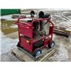 Image 3 : BLUE VIPER YS4000 HOT WATER PRESSURE WASHER