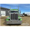 Image 71 : 2020 PETERBILT 389 T/A SLEEPER TRUCK TRACTOR