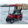 Image 1 : TWO PERSON ELECTRIC GOLF CART