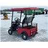 Image 4 : TWO PERSON ELECTRIC GOLF CART