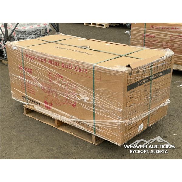 BATTERY POWERED 3 WHEEL 2 PERSON ELECTRIC SCOOTER