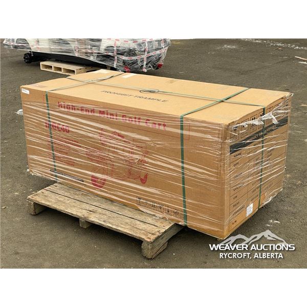 BATTERY POWERED 3 WHEEL 2 PERSON ELECTRIC SCOOTER