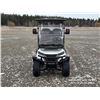 Image 2 : 2026 SDLANCH SDLGC80 4 SEATER ELECTRIC GOLF CART