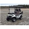Image 1 : 2026 SDLANCH SDLGC80 4 SEATER ELECTRIC GOLF CART