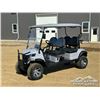 Image 1 : 2024 ZLD-F2020TJY 4 PASSENGER GOLF CART (UNUSED)