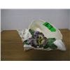 Image 1 : PORCELAIN CONCH SHELL