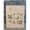 Image 2 : OSULLOC Lovely Tea Box - 4 Flavors - 12 Count