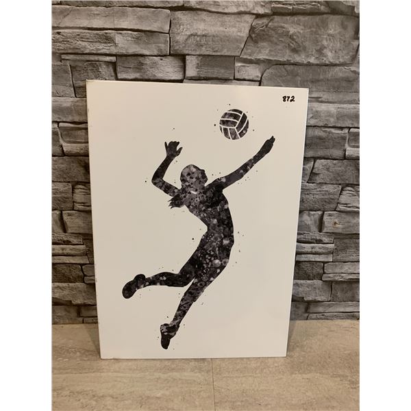 Displate Volleyball Player Girl Poster - Metal - Signed