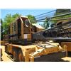 Image 2 : AMERICAN 5530 CRANE