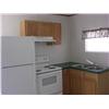 Image 3 : 2005 SILVER CREEK 12'X38' PARK MODEL
