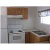 Image 4 : 2005 SILVER CREEK 12'X38' PARK MODEL