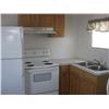 Image 4 : 2005 SILVER CREEK 12'X38' PARK MODEL