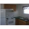 Image 4 : 2006 SILVER CREEK 12'X38' PARK MODEL