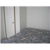Image 7 : 2006 SILVER CREEK 12'X38' PARK MODEL