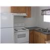 Image 4 : 2005 SILVER CREEK 12'X38' PARK MODEL
