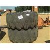 Image 1 : (1) LOT 2 SKIDDER TIRES