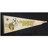 Image 1 : Chicago Sting NASL Soccer League 30" Pennant