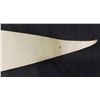 Image 5 : Detroit Express NASL Soccer League 30" Pennant
