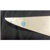Image 7 : Detroit Express NASL Soccer League 30" Pennant