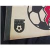 Image 4 : San Jose Earthquakes NASL Soccer 30" Pennant