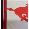 Image 2 : Calgary Stampeders CFL Football 30" Pennant