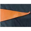 Image 5 : Minnesota Kicks - NASL Soccer League 30" Pennant