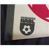 Image 4 : Vancouver Whitecaps NASL Soccer League 30" Pennant