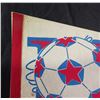 Image 3 : Dallas Tornado NASL Soccer League 30" Pennant