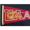 Image 2 : Arkansas "Razorbacks" American Football 30"