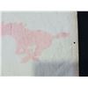 Image 4 : Calgary Stampeders CFL Football 30" Pennant