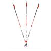Image 1 : Carbon Express Maxima Triad 300 (6-Pack) Sku 51111