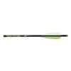 Image 1 : Carbon Express Pile Driver 20" Crossbolt Moon Nock Sku 52138