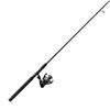 Image 1 : Quantum Accurist 30 Spinning Combo 2-Piece Black ATBK3072FA.NS2 Sku 21-40457