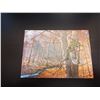 Image 1 : Imagimex Greeting Cards Buck Bow Hunter Sku