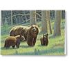 Image 1 : Imagimex Greeting Cards Mother Bear and Cubs Sku