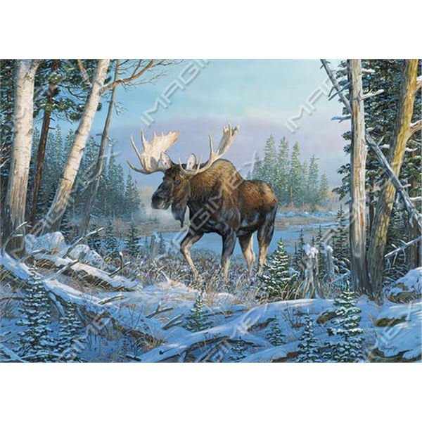 Imagimex Greeting Cards Moose in Woods Sku