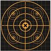 Image 1 : Birchwood Casey Big Burst 3 12" Sight-In Targets Sku BC-36213